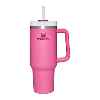 Stanley Adventure Reusable Vacuum Quencher Tumbler with Straw, Leak Resistant Lid, Insulated Cup, Maintains Cold, Heat, and Ice for Hours